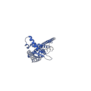 16364_8c0e_D_v1-0
The lipid linked oligosaccharide polymerase Wzy and its regulating co-polymerase Wzz form a complex in vivo and in vitro