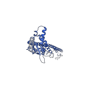 16364_8c0e_E_v1-0
The lipid linked oligosaccharide polymerase Wzy and its regulating co-polymerase Wzz form a complex in vivo and in vitro