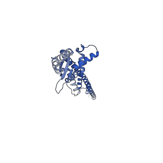 16364_8c0e_F_v1-0
The lipid linked oligosaccharide polymerase Wzy and its regulating co-polymerase Wzz form a complex in vivo and in vitro