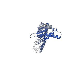 16364_8c0e_G_v1-0
The lipid linked oligosaccharide polymerase Wzy and its regulating co-polymerase Wzz form a complex in vivo and in vitro