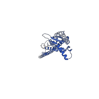 16364_8c0e_H_v1-0
The lipid linked oligosaccharide polymerase Wzy and its regulating co-polymerase Wzz form a complex in vivo and in vitro