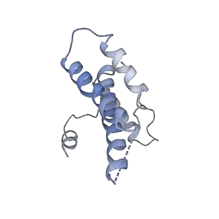 16371_8c0o_1B_v1-0
African cichlid nackednavirus capsid at pH 5.5
