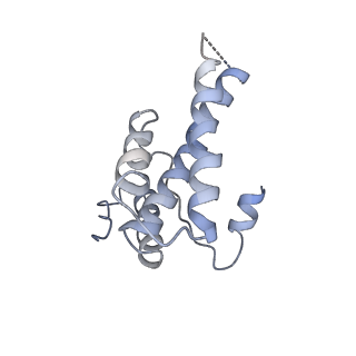 16371_8c0o_3B_v1-0
African cichlid nackednavirus capsid at pH 5.5