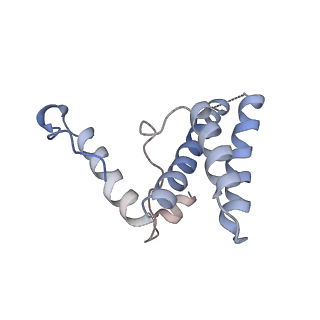 16371_8c0o_3C_v1-0
African cichlid nackednavirus capsid at pH 5.5