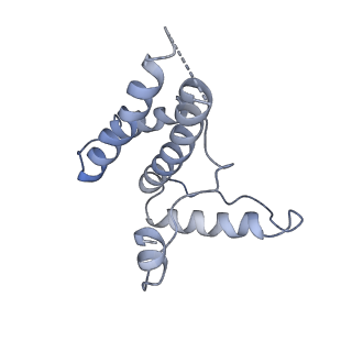 16371_8c0o_4B_v1-0
African cichlid nackednavirus capsid at pH 5.5