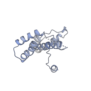 16371_8c0o_4C_v1-0
African cichlid nackednavirus capsid at pH 5.5