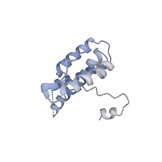 16371_8c0o_7C_v1-0
African cichlid nackednavirus capsid at pH 5.5
