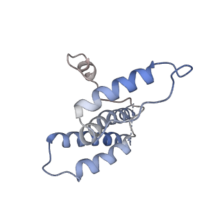 16371_8c0o_FA_v1-0
African cichlid nackednavirus capsid at pH 5.5