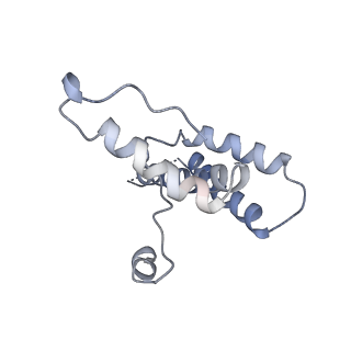 16371_8c0o_GC_v1-0
African cichlid nackednavirus capsid at pH 5.5