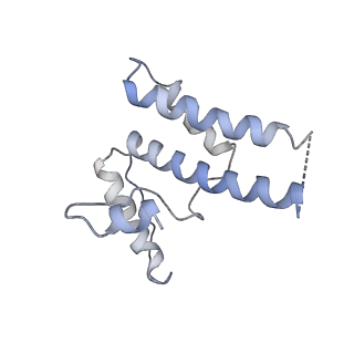 16371_8c0o_JB_v1-0
African cichlid nackednavirus capsid at pH 5.5