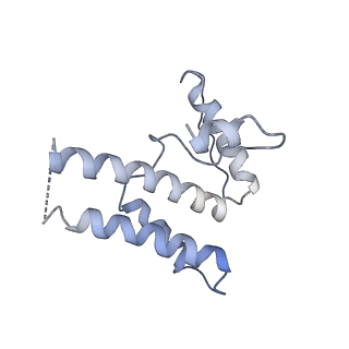 16371_8c0o_KB_v1-0
African cichlid nackednavirus capsid at pH 5.5