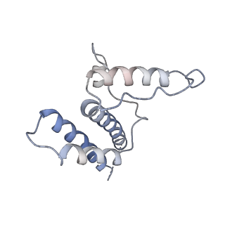 16371_8c0o_MB_v1-0
African cichlid nackednavirus capsid at pH 5.5