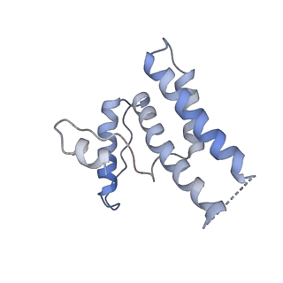 16371_8c0o_NA_v1-0
African cichlid nackednavirus capsid at pH 5.5