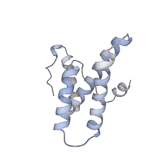 16371_8c0o_RC_v1-0
African cichlid nackednavirus capsid at pH 5.5