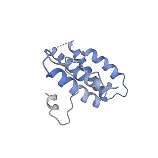 16371_8c0o_SA_v1-0
African cichlid nackednavirus capsid at pH 5.5