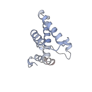 16371_8c0o_SC_v1-0
African cichlid nackednavirus capsid at pH 5.5