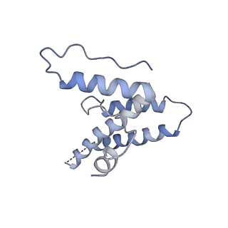 16371_8c0o_TA_v1-0
African cichlid nackednavirus capsid at pH 5.5