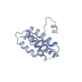 16371_8c0o_VA_v1-0
African cichlid nackednavirus capsid at pH 5.5