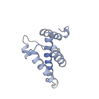 16371_8c0o_VC_v1-0
African cichlid nackednavirus capsid at pH 5.5