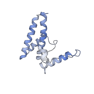 16371_8c0o_XA_v1-0
African cichlid nackednavirus capsid at pH 5.5