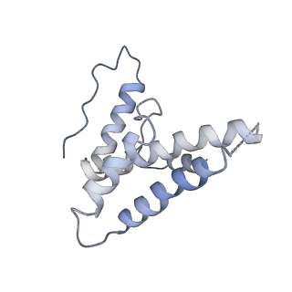 16371_8c0o_ZB_v1-0
African cichlid nackednavirus capsid at pH 5.5