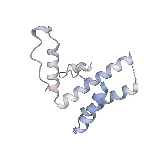 16371_8c0o_ZC_v1-0
African cichlid nackednavirus capsid at pH 5.5
