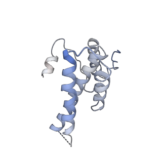 16371_8c0o_cB_v1-0
African cichlid nackednavirus capsid at pH 5.5