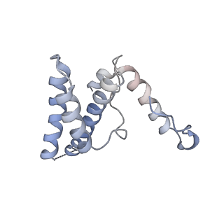 16371_8c0o_cC_v1-0
African cichlid nackednavirus capsid at pH 5.5