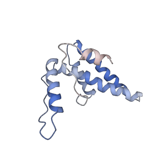 16371_8c0o_dA_v1-0
African cichlid nackednavirus capsid at pH 5.5
