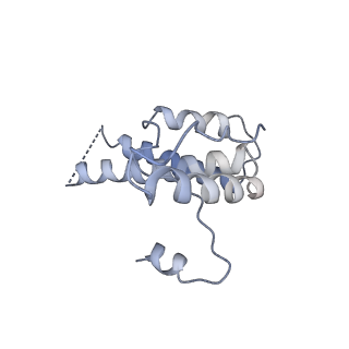 16371_8c0o_eB_v1-0
African cichlid nackednavirus capsid at pH 5.5