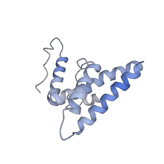 16371_8c0o_gA_v1-0
African cichlid nackednavirus capsid at pH 5.5