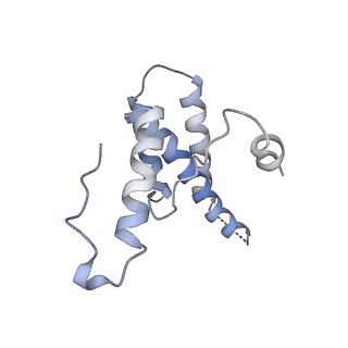 16371_8c0o_kC_v1-0
African cichlid nackednavirus capsid at pH 5.5