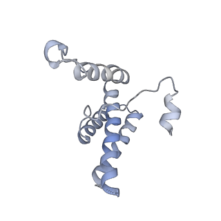 16371_8c0o_lC_v1-0
African cichlid nackednavirus capsid at pH 5.5