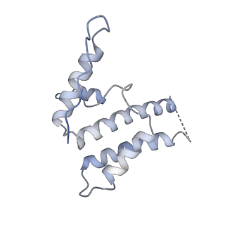 16371_8c0o_pB_v1-0
African cichlid nackednavirus capsid at pH 5.5
