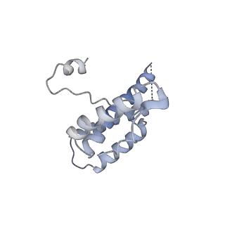 16371_8c0o_pC_v1-0
African cichlid nackednavirus capsid at pH 5.5