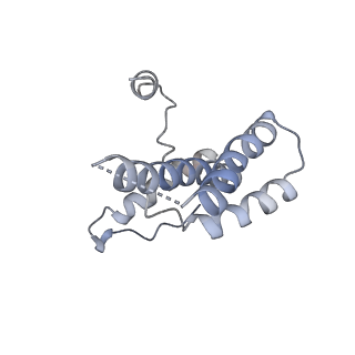 16371_8c0o_rC_v1-0
African cichlid nackednavirus capsid at pH 5.5