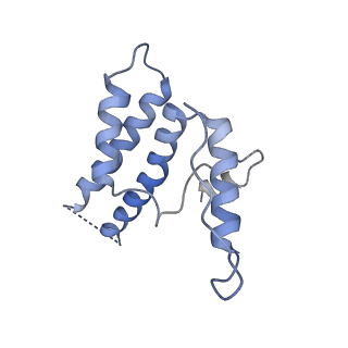 16371_8c0o_sA_v1-0
African cichlid nackednavirus capsid at pH 5.5