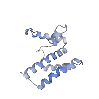 16371_8c0o_uC_v1-0
African cichlid nackednavirus capsid at pH 5.5