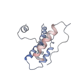 16371_8c0o_wB_v1-0
African cichlid nackednavirus capsid at pH 5.5