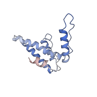 16371_8c0o_yA_v1-0
African cichlid nackednavirus capsid at pH 5.5
