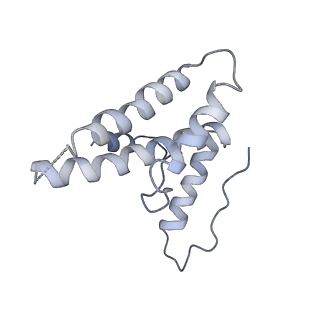 16371_8c0o_zB_v1-0
African cichlid nackednavirus capsid at pH 5.5