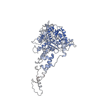 16372_8c0v_A_v1-0
Structure of the peroxisomal Pex1/Pex6 ATPase complex bound to a substrate in single seam state