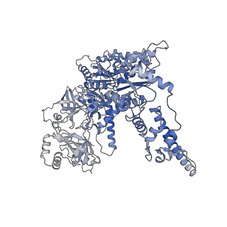 16372_8c0v_B_v1-0
Structure of the peroxisomal Pex1/Pex6 ATPase complex bound to a substrate in single seam state