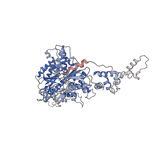 16372_8c0v_C_v1-0
Structure of the peroxisomal Pex1/Pex6 ATPase complex bound to a substrate in single seam state