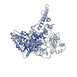16372_8c0v_D_v1-0
Structure of the peroxisomal Pex1/Pex6 ATPase complex bound to a substrate in single seam state