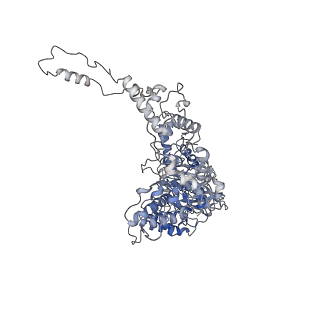 16372_8c0v_E_v1-0
Structure of the peroxisomal Pex1/Pex6 ATPase complex bound to a substrate in single seam state