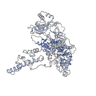 16372_8c0v_F_v1-0
Structure of the peroxisomal Pex1/Pex6 ATPase complex bound to a substrate in single seam state
