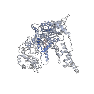 16373_8c0w_A_v1-0
Structure of the peroxisomal Pex1/Pex6 ATPase complex bound to a substrate in twin seam state