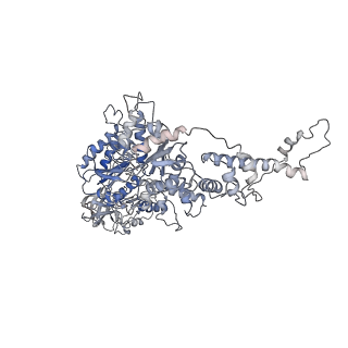 16373_8c0w_B_v1-0
Structure of the peroxisomal Pex1/Pex6 ATPase complex bound to a substrate in twin seam state