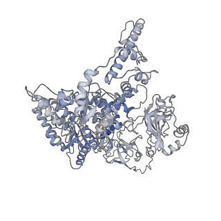 16373_8c0w_C_v1-0
Structure of the peroxisomal Pex1/Pex6 ATPase complex bound to a substrate in twin seam state
